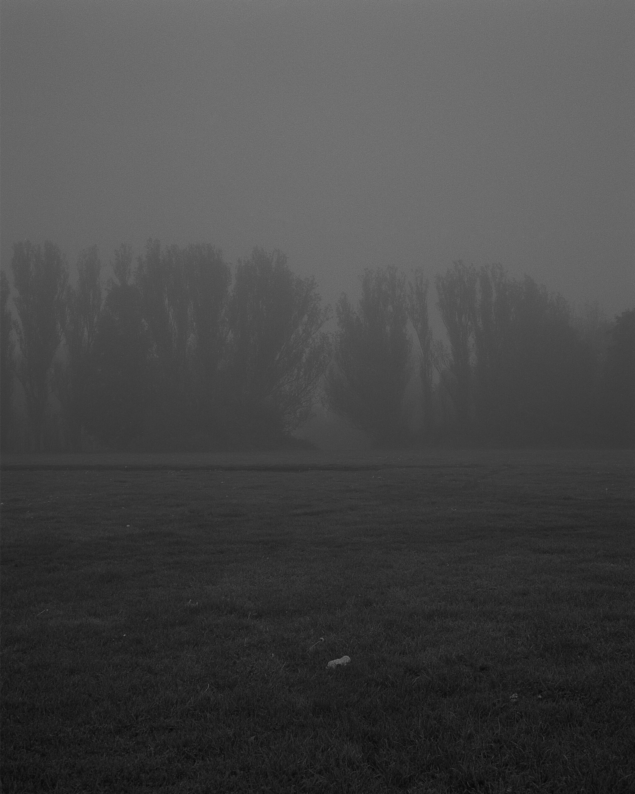 Ealing / Hanwell Oct ’24